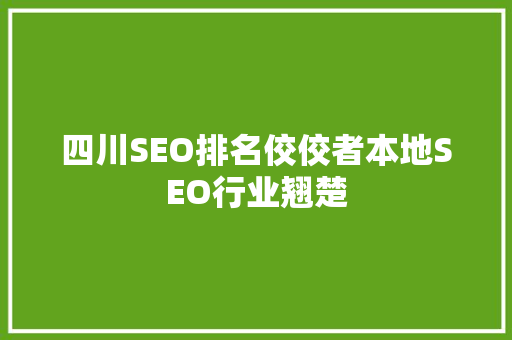 四川SEO排名佼佼者本地SEO行业翘楚