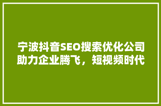 宁波抖音SEO搜索优化公司助力企业腾飞，短视频时代营销方法