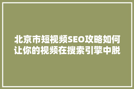 北京市短视频SEO攻略如何让你的视频在搜索引擎中脱颖而出