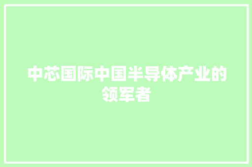 中芯国际中国半导体产业的领军者