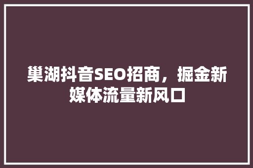 巢湖抖音SEO招商，掘金新媒体流量新风口