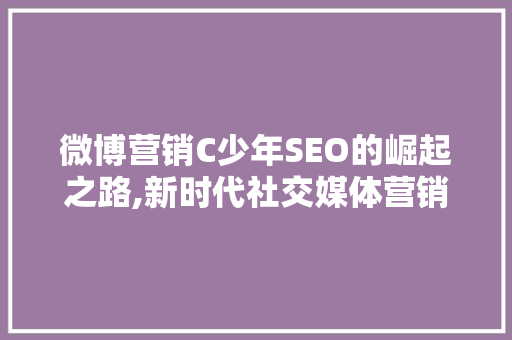 微博营销C少年SEO的崛起之路,新时代社交媒体营销新步骤