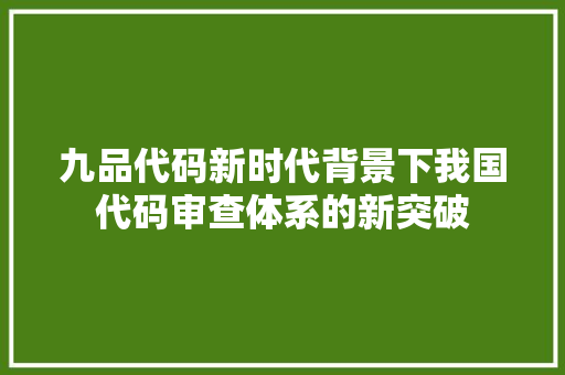 九品代码新时代背景下我国代码审查体系的新突破