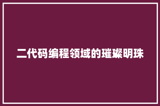 二代码编程领域的璀璨明珠