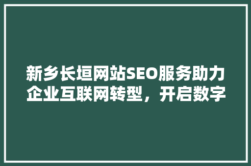 新乡长垣网站SEO服务助力企业互联网转型，开启数字营销新篇章
