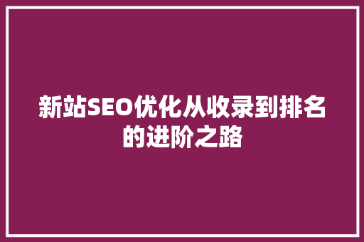 新站SEO优化从收录到排名的进阶之路