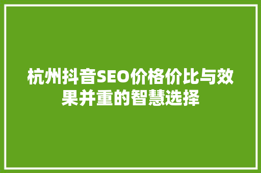 杭州抖音SEO价格价比与效果并重的智慧选择