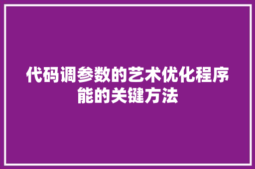 代码调参数的艺术优化程序能的关键方法