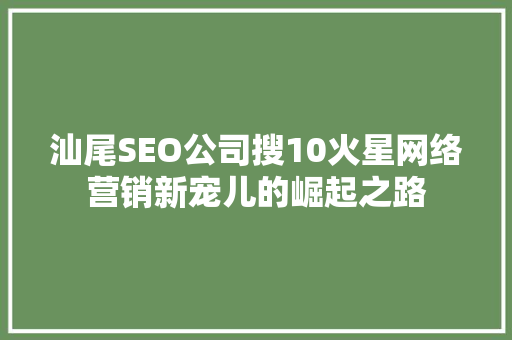 汕尾SEO公司搜10火星网络营销新宠儿的崛起之路