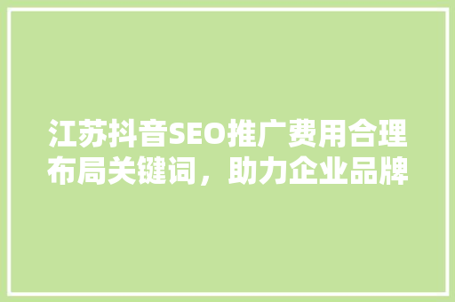 江苏抖音SEO推广费用合理布局关键词，助力企业品牌腾飞