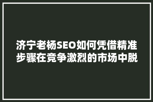 济宁老杨SEO如何凭借精准步骤在竞争激烈的市场中脱颖而出