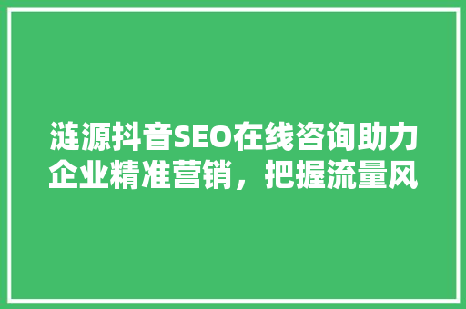 涟源抖音SEO在线咨询助力企业精准营销，把握流量风口