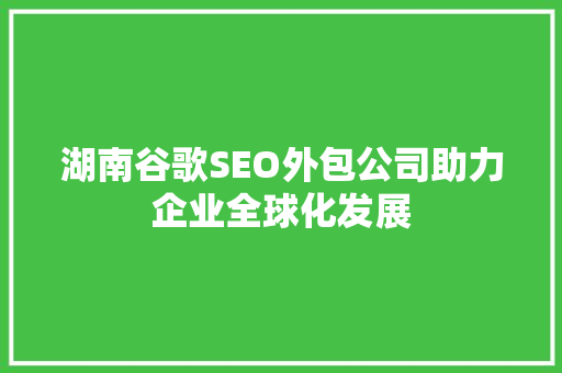 湖南谷歌SEO外包公司助力企业全球化发展