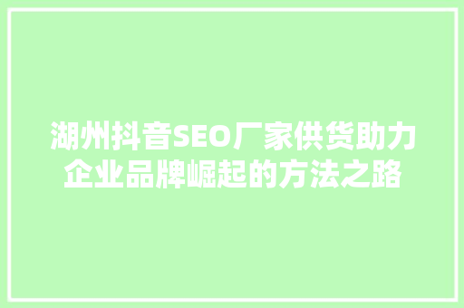 湖州抖音SEO厂家供货助力企业品牌崛起的方法之路