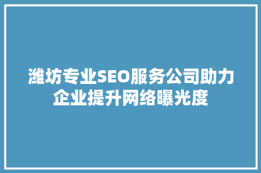 潍坊专业SEO服务公司助力企业提升网络曝光度