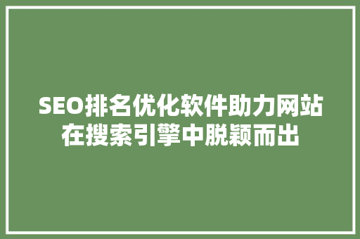 SEO排名优化软件助力网站在搜索引擎中脱颖而出