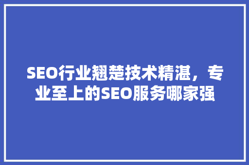 SEO行业翘楚技术精湛，专业至上的SEO服务哪家强