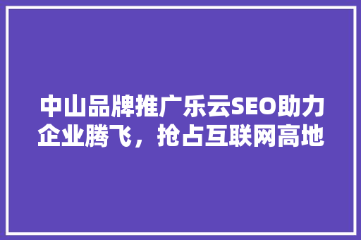 中山品牌推广乐云SEO助力企业腾飞，抢占互联网高地