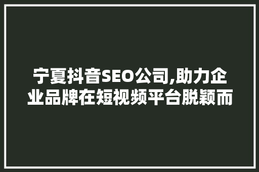 宁夏抖音SEO公司,助力企业品牌在短视频平台脱颖而出