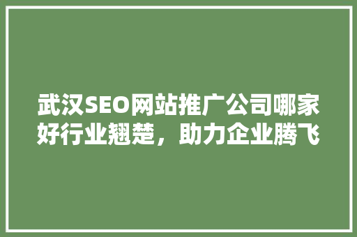 武汉SEO网站推广公司哪家好行业翘楚，助力企业腾飞