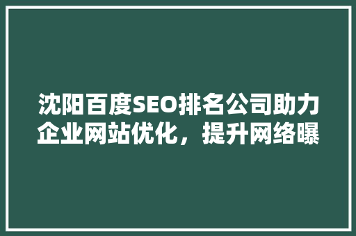 沈阳百度SEO排名公司助力企业网站优化，提升网络曝光度