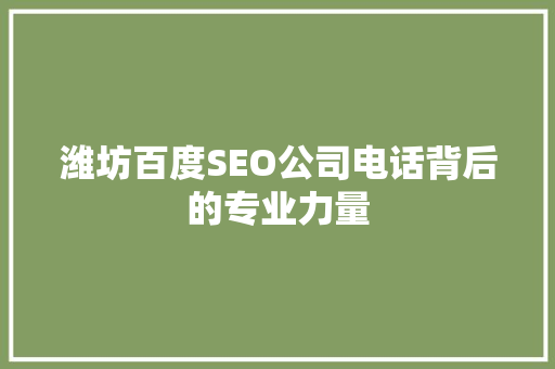 潍坊百度SEO公司电话背后的专业力量