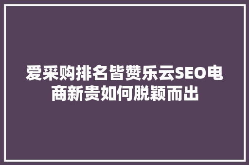 爱采购排名皆赞乐云SEO电商新贵如何脱颖而出
