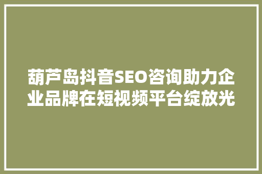 葫芦岛抖音SEO咨询助力企业品牌在短视频平台绽放光彩