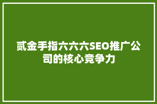 贰金手指六六六SEO推广公司的核心竞争力