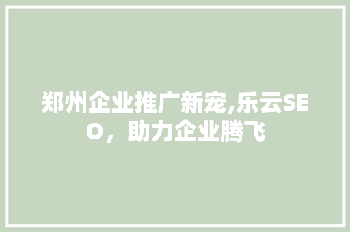 郑州企业推广新宠,乐云SEO，助力企业腾飞
