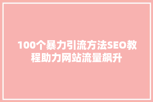 100个暴力引流方法SEO教程助力网站流量飙升