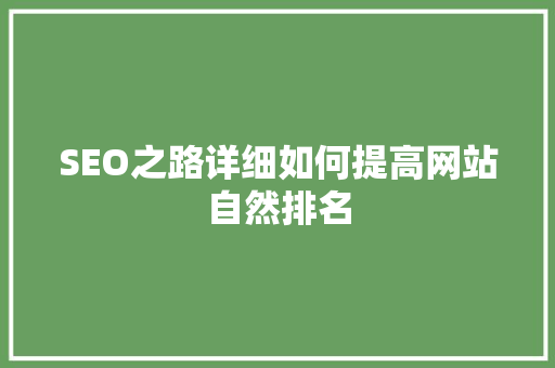 SEO之路详细如何提高网站自然排名