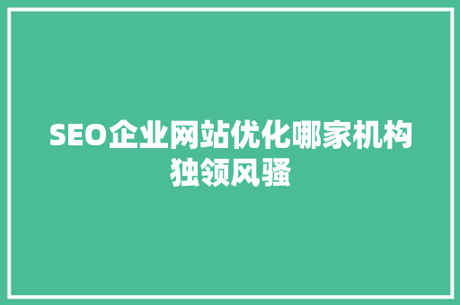 SEO企业网站优化哪家机构独领风骚