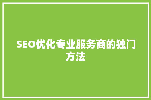 SEO优化专业服务商的独门方法