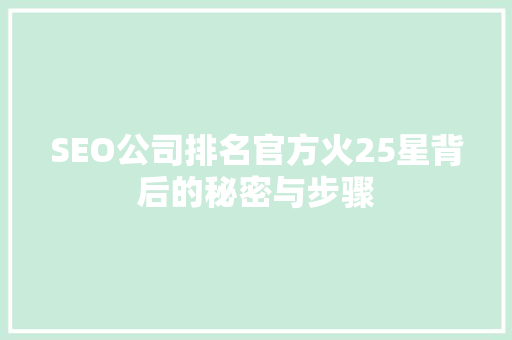 SEO公司排名官方火25星背后的秘密与步骤