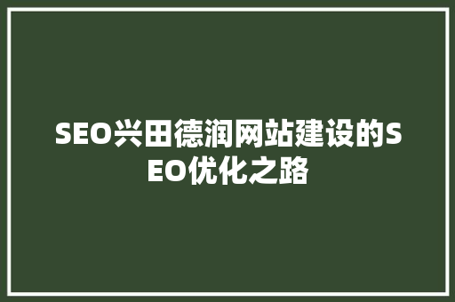 SEO兴田德润网站建设的SEO优化之路