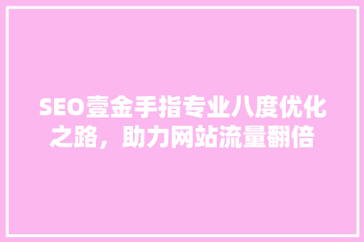 SEO壹金手指专业八度优化之路，助力网站流量翻倍