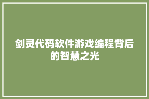 剑灵代码软件游戏编程背后的智慧之光