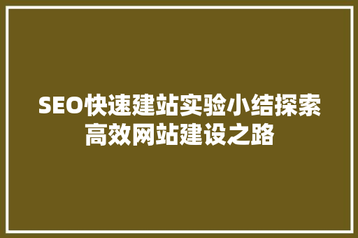 SEO快速建站实验小结探索高效网站建设之路