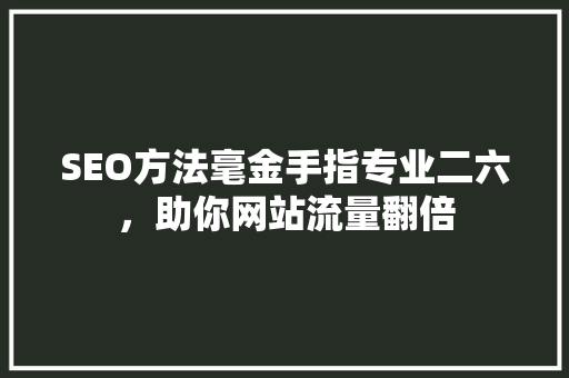 SEO方法毫金手指专业二六，助你网站流量翻倍