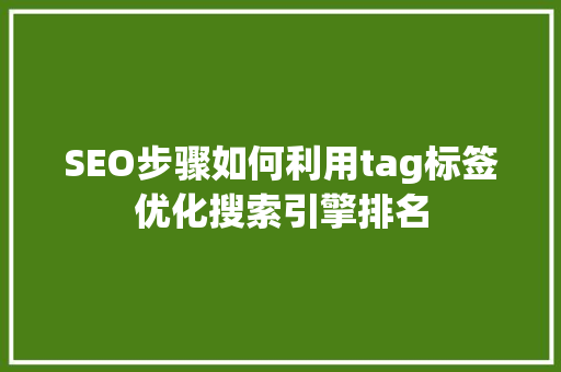 SEO步骤如何利用tag标签优化搜索引擎排名