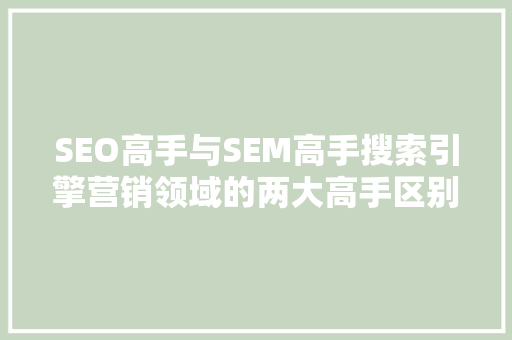 SEO高手与SEM高手搜索引擎营销领域的两大高手区别