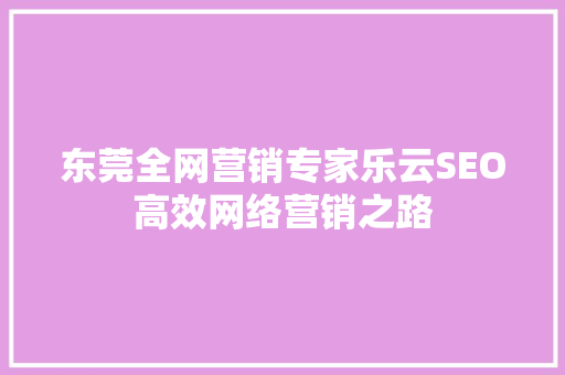 东莞全网营销专家乐云SEO高效网络营销之路