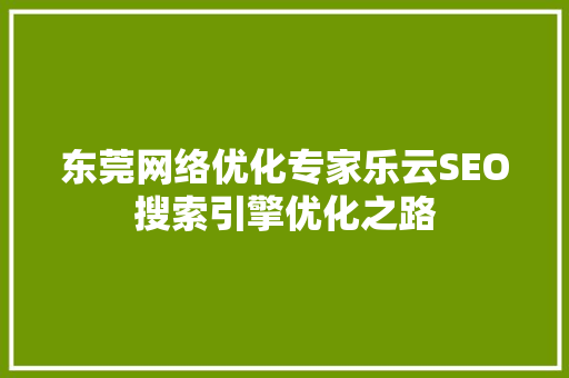 东莞网络优化专家乐云SEO搜索引擎优化之路