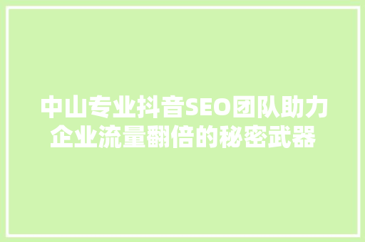 中山专业抖音SEO团队助力企业流量翻倍的秘密武器