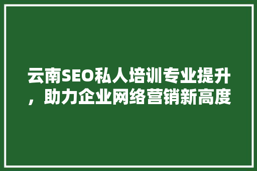 云南SEO私人培训专业提升，助力企业网络营销新高度