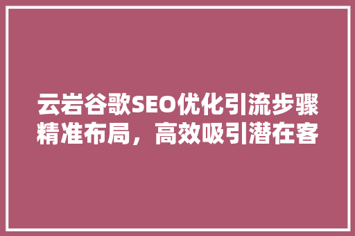 云岩谷歌SEO优化引流步骤精准布局，高效吸引潜在客户