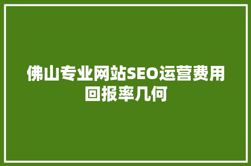 佛山专业网站SEO运营费用回报率几何