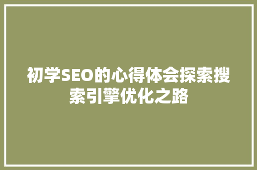 初学SEO的心得体会探索搜索引擎优化之路
