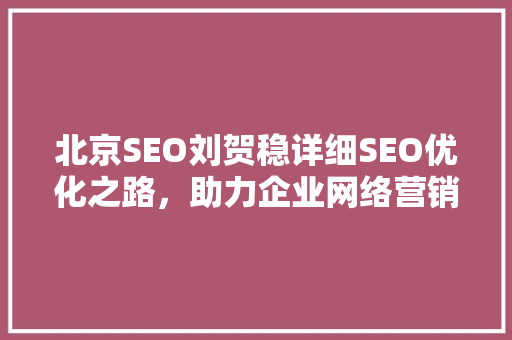 北京SEO刘贺稳详细SEO优化之路，助力企业网络营销腾飞